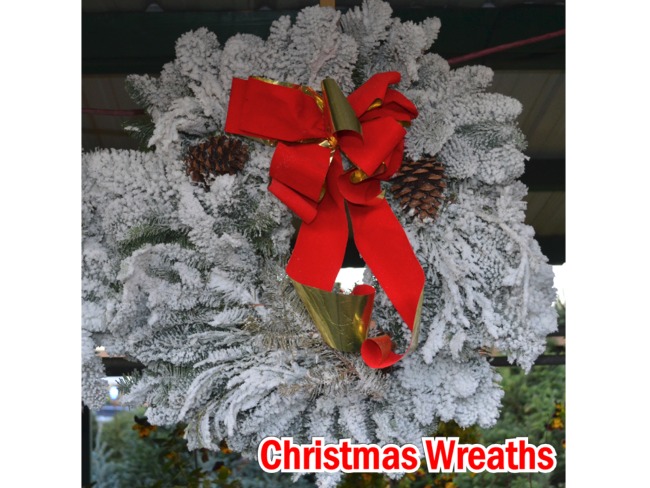 Beautiful Christmas Wreaths