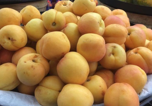 Click to view more Apricots Produce