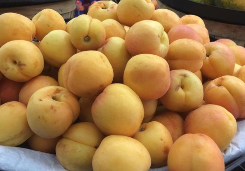 Apricots For Sale