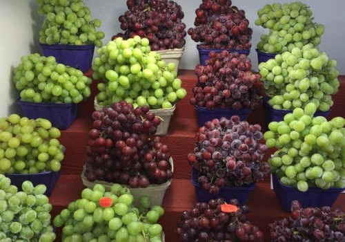 Click to view more Seedless Grapes Produce