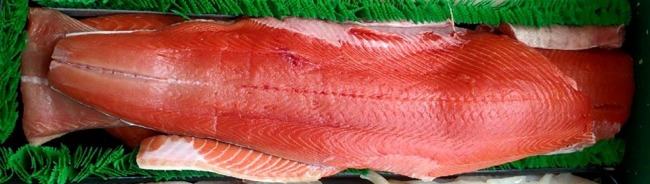 Wild King Salmon